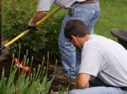 Tim and James are working on a new landscape