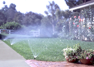 a system optimized by our Pasadena sprinkler repair team